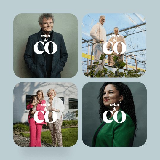 Afbeelding van 4 covers van Rabo &Co